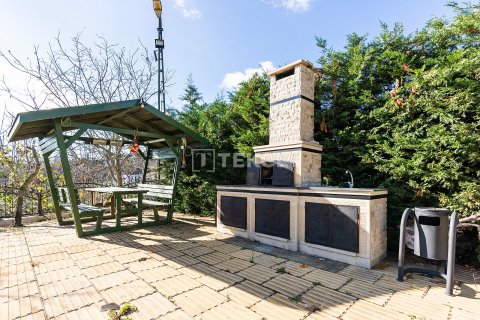 Продажа виллы  в Чаталдже, Стамбуле, Турция 9+4, 504м2, №191296 – фото 11