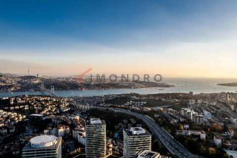 Продажа квартиры  в Бешикташе, Стамбуле, Турция 3+1, 242м2, №187511 – фото 1