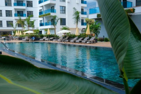 آپارتمان در Mahmutlar ، ترکیه 1 خوابه ، 60 متر مربع. شماره 206663 - 13