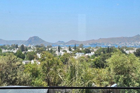 4+1 Villa  in Yalikavak, Mugla, Türkei Nr. 206655 - 22