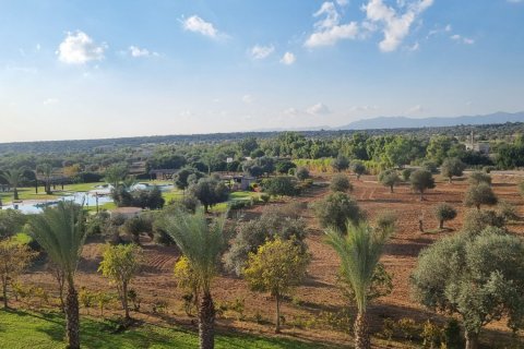 Daire   Bafra, Samsun, Türkiye №211035 - 9