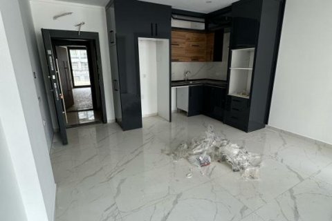 آپارتمان در  Kestel ، ترکیه 55 متر مربع.  شماره 193207 - 1