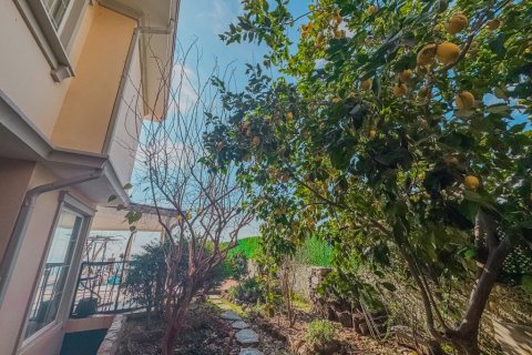 Продажа виллы  в Аланье, Анталье, Турция 5 комн., 270м2, №206516 – фото 6