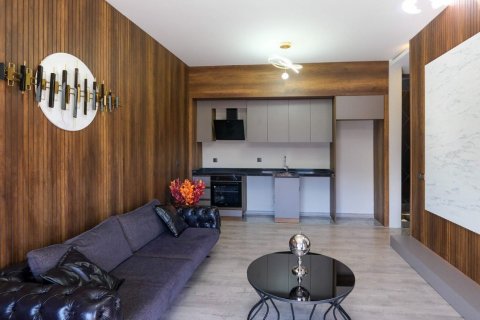 1+1 Lejlighed i Altintash, Aksu, Antalya, Tyrkiet Nr. 206510 - 24