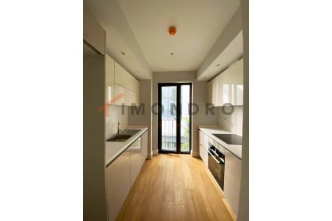 1+1 Lejlighed  i Beyoglu, Istanbul, Tyrkiet Nr. 186896 - 14