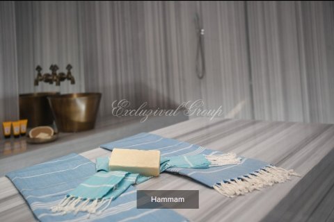 3+1 Villa in Bodrum, Mugla, Türkei Nr. 178833 - 21