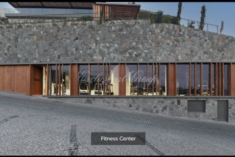 3+1 Villa in Bodrum, Mugla, Türkei Nr. 178833 - 28