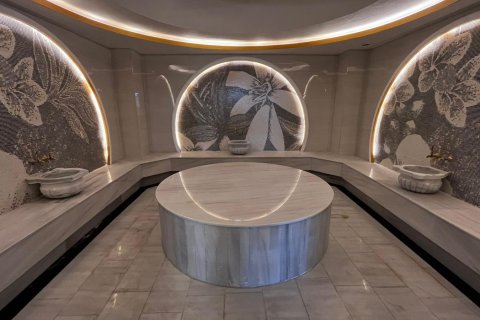 Продажа квартиры  в Аланье, Анталье, Турция 2 комн., 53м2, №192269 – фото 8