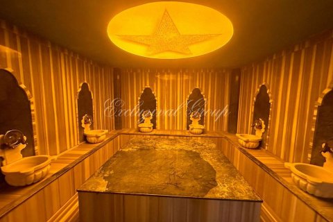 Продажа квартиры  в Аланье, Анталье, Турция 1+1, 50м2, №191233 – фото 25