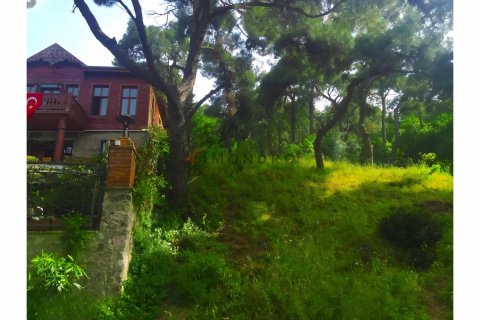 Продажа виллы  в Адаларе, Стамбуле, Турция 5+1, 250м2, №176216 – фото 16