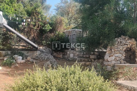 Villa  5+1  Kaş, Antalya, Türkiye №192456 - 14