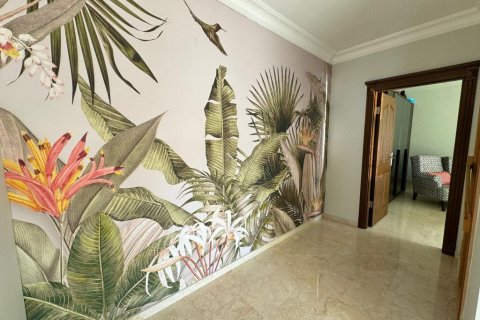 Продажа квартиры  в Махмутларе, Анталье, Турция 4 комн., 350м2, №194092 – фото 22