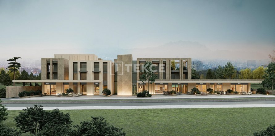 Kontor  i ankara, Turkiet Nr. 193224