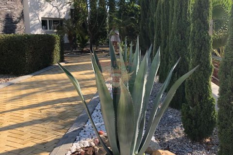 2+1 Villa  in Famagusta,  Nr. 187859 - 9