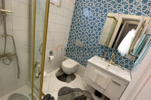 3+1 Lägenhet  i Fatih, Istanbul, istanbul, Turkiet Nr. 193076 - 17