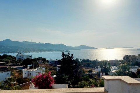 Продажа виллы  в Ялыкаваке, Мугле, Турция 6 комн., 400м2, №206798 – фото 14