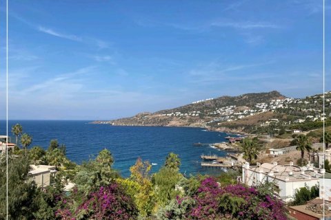 5+2 Villa  i Yalikavak, Mugla, Turkiet Nr. 206795 - 6