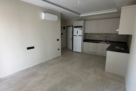 آپارتمان در  Alanya ، ترکیه 1 خوابه  شماره 185708 - 12