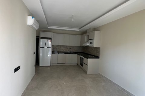 آپارتمان در  Alanya ، ترکیه 1 خوابه  شماره 185708 - 11