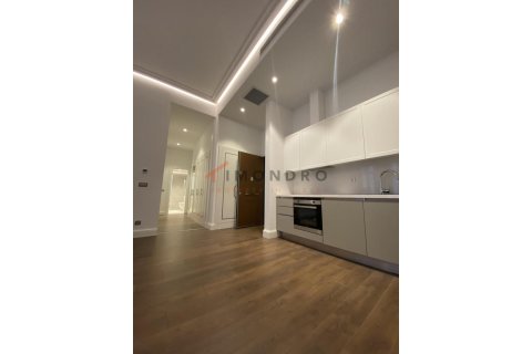 2+1 Wohnung  in Beyoglu, Istanbul, Türkei Nr. 177864 - 8