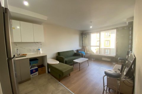 Wohnung  in Istanbul, Türkei Nr. 186498 - 6