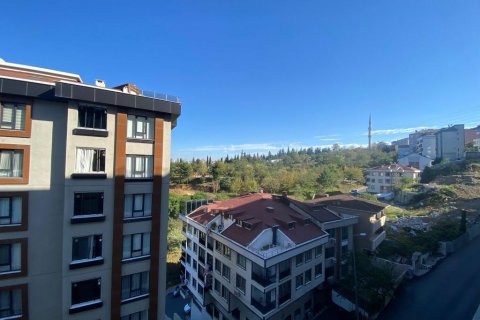 Wohnung  in Istanbul, Türkei Nr. 186498 - 11