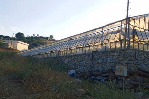 Продажа квартиры  в Газипаше, Анталье, Турция, 1001м2, №211259 – фото 2