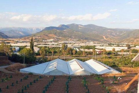 Продажа квартиры  в Газипаше, Анталье, Турция, 1001м2, №211259 – фото 1