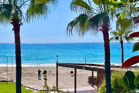 Продажа квартиры  в Каргыджаке, Аланье, Анталье, Турция 1+1, 50м2, №168295 – фото 24