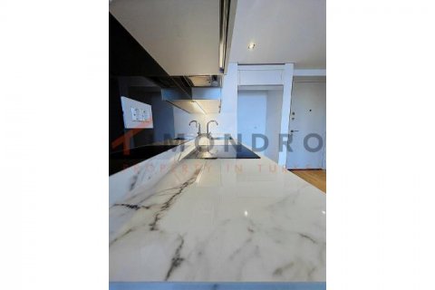 آپارتمان در Sisli،  Istanbul ، ترکیه 1 خوابه ، 102 متر مربع.  شماره 192704 - 4