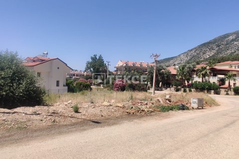 Land plot for sale  in Fethiye, Mugla, Turkey, 908m2, No. 192715 – photo 1