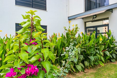 Lejlighed  i Antalya, Tyrkiet Nr. 211215 - 1