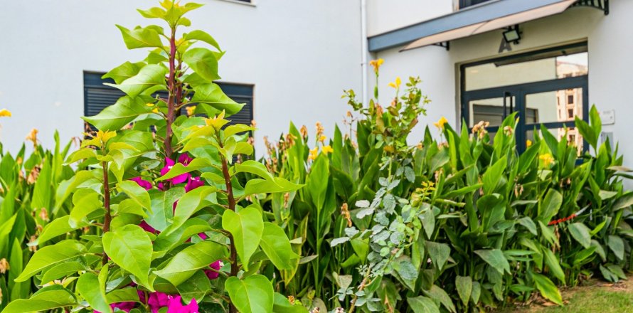 Lejlighed  i Antalya, Tyrkiet Nr. 211215