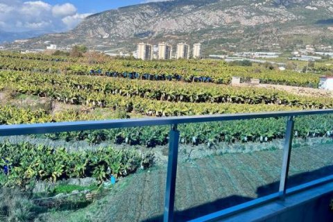 آپارتمان در  Mahmutlar ، ترکیه 48 متر مربع.  شماره 193999 - 11