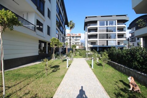 Продажа квартиры  в Оба, Анталье, Турция 2 комн., 55м2, №185413 – фото 20