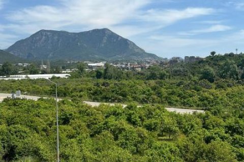 Продажа квартиры  в Оба, Анталье, Турция 2 комн., 50м2, №164626 – фото 5