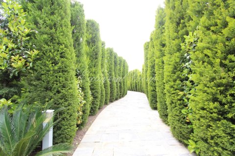 Villa for sale  in Bodrum, Mugla, Turkey, 4 bedrooms, 220m2, No. 178780 – photo 2