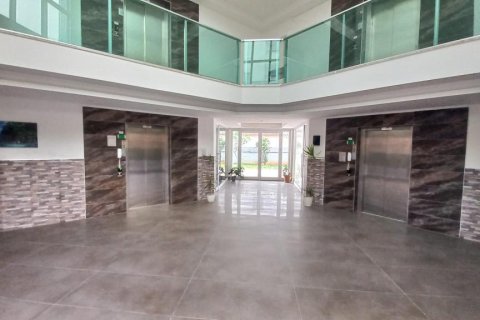 Lejlighed  i Mahmutlar, Antalya, Tyrkiet Nr. 184164 - 12