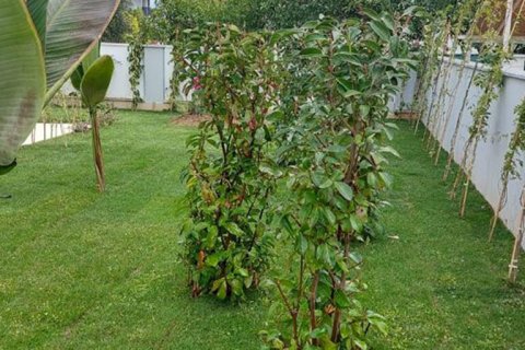 Продажа виллы в Аланье, Анталье, Турция, 250м2, №193419 – фото 12