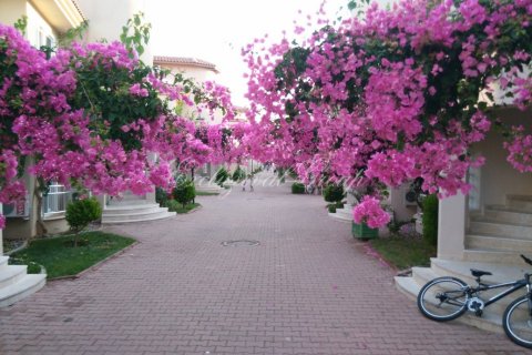 Apartment for rent  in Fethiye, Mugla, Turkey, 2 bedrooms, 85m2, No. 178663 – photo 18