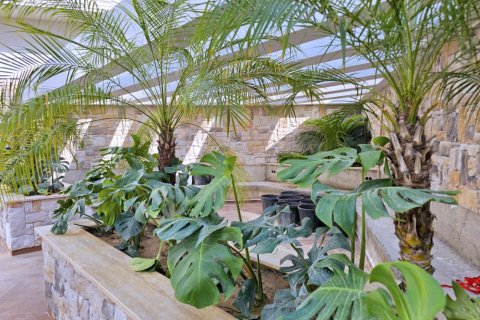 Daire  1+1  Alanya, Antalya, Türkiye №175504 - 28