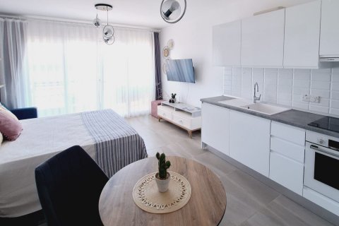 Продажа квартиры  в Бафре, Самсуне, Турция студия, 38м2, №210953 – фото 6