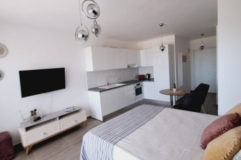 Продажа квартиры  в Бафре, Самсуне, Турция студия, 38м2, №210953 – фото 9