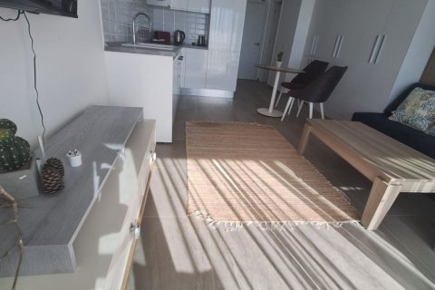 Продажа квартиры  в Бафре, Самсуне, Турция студия, 38м2, №210953 – фото 10