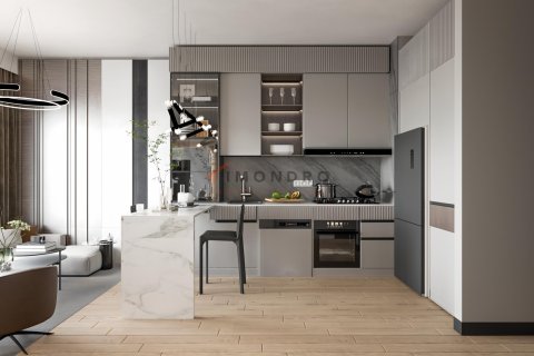 1+1 Wohnung in Istanbul, Türkei Nr. 193556 - 11