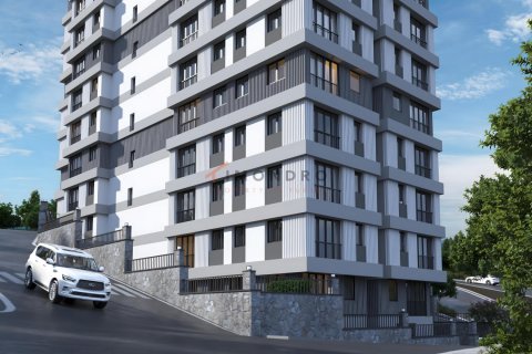 1+1 Wohnung in Istanbul, Türkei Nr. 193556 - 3