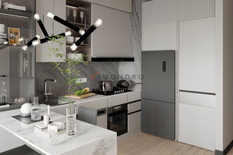 1+1 Wohnung in Istanbul, Türkei Nr. 193556 - 8