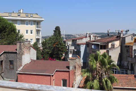 6+1 Wohnung  in Besiktas, Istanbul, Türkei Nr. 193550 - 10