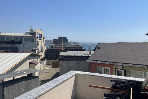 6+1 Wohnung  in Besiktas, Istanbul, Türkei Nr. 193550 - 8