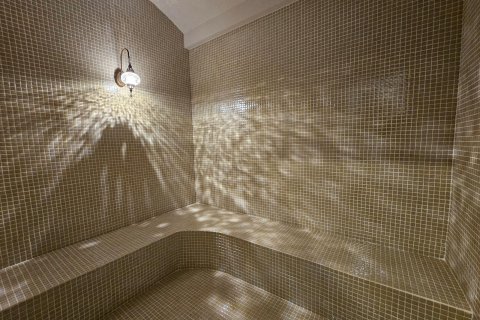 آپارتمان در  Kestel ، ترکیه 55 متر مربع.  شماره 185172 - 20